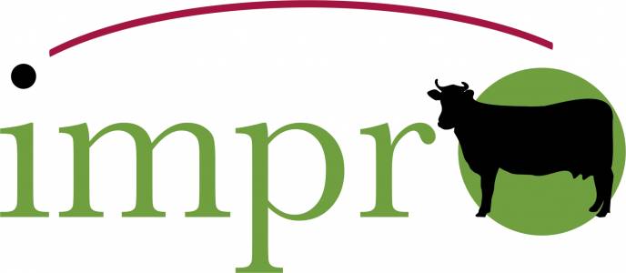 Logo Impro