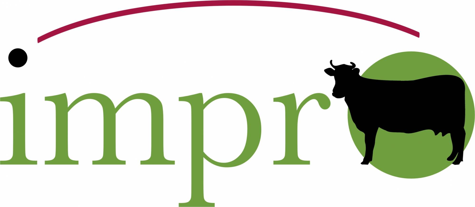 Logo Impro